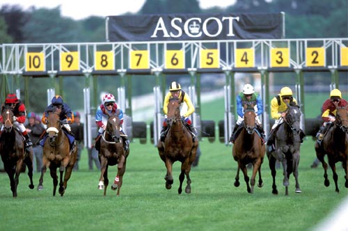 Horses racing at Royal Ascot